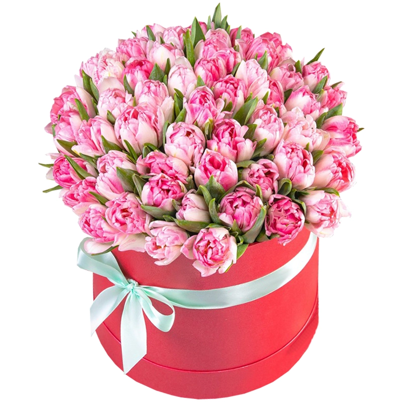 Бокс из 51 нежного пионовидного тюльпана