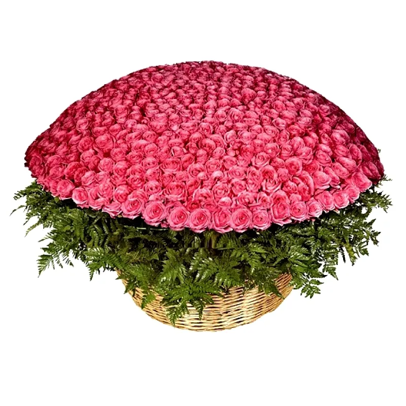 Композиция из 1001 розовой розы премиум